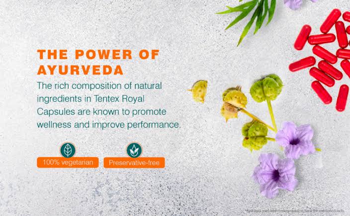 Himalaya "Tentex Royal" 60pcs