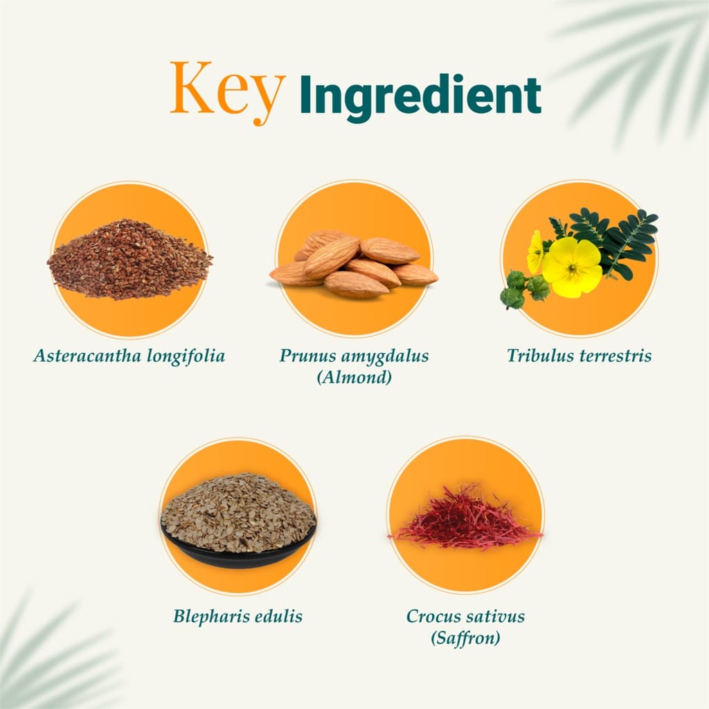 Himalaya "Tentex Royal" 60pcs